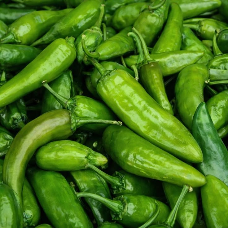 Jaggery Powder — Shrey Export, Gujarat