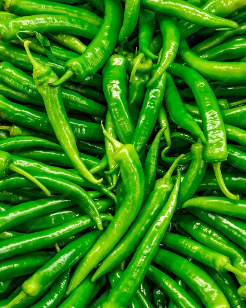 Green Chili exporter Ahmedabad