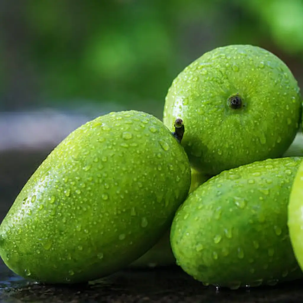 fresh kesar mango exporter Ahmedabad Gujarat India