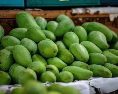 premium fresh kesar mango saffron pulp Gujarat